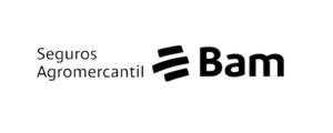 logo_bam